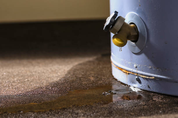 Best Flooded house restoration  in Ridgeway, AK