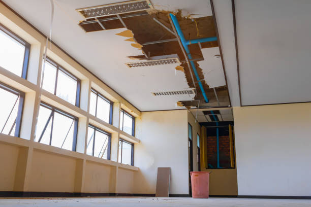 Best 24-hour water damage restoration  in Ridgeway, AK