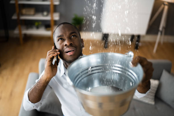 Best Water damage restoration specialists  in Ridgeway, AK