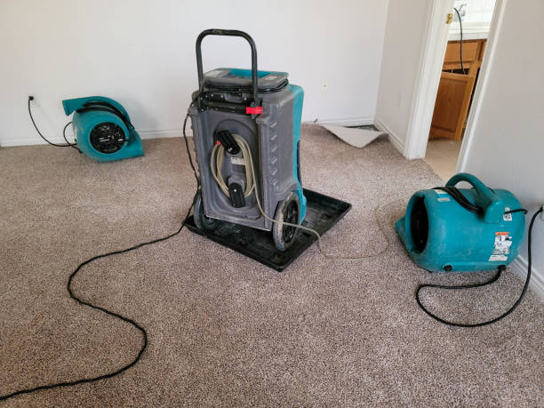 24/7 water damage repair in Ridgeway, AK