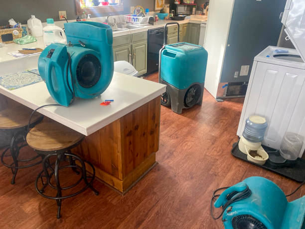 Best Ceiling water damage repair  in Ridgeway, AK