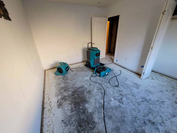 Fire Damage Restoration in Ridgeway, AK
