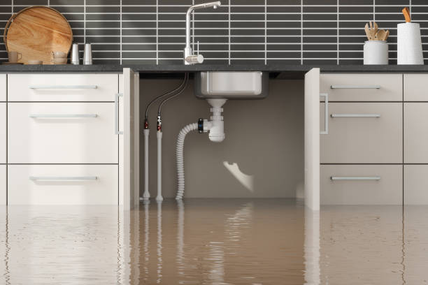 Professional Water damage restoration in Ridgeway, AK